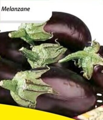 Melanzane