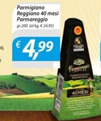 DiMeglio Parmigiano Reggiano 40 mesi Parmareggio gr.200 offerta
