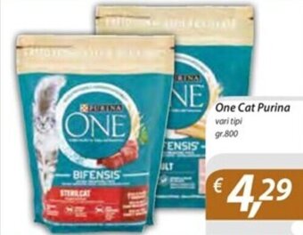 One Cat Purina vari tipi gr.800