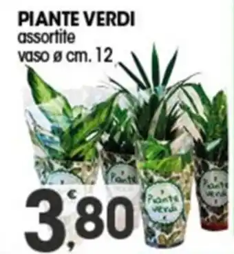 PIANTE VERDI assortite vaso Ø cm. 12