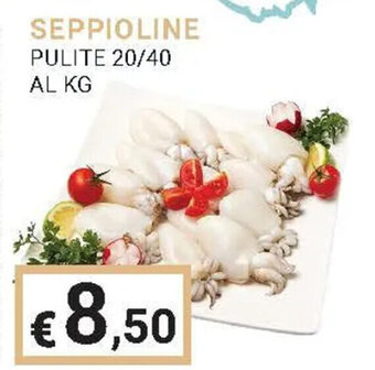 SEPPIOLINE PULITE 20/40