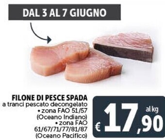 Gourmet Déco Filone di pesce spada offerta