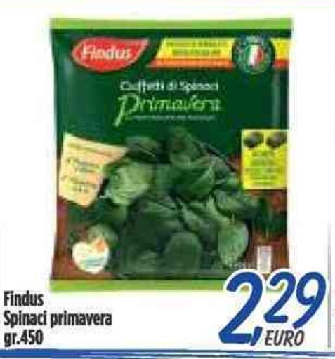 Orizzonte Supermercati Findus Spinaci primavera gr.450 offerta