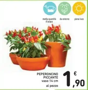 Spazio Conad Peperoncino Piccante 14cm offerta