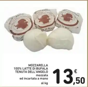 Spazio Conad Tenuta Dell'Angelo Mozzarella 100% Latte di Bufala offerta