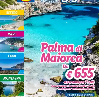 Lidl Palma di Maiorca offerta