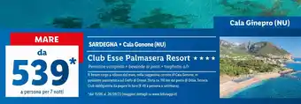 Lidl Club Esse Palmasera Resort offerta