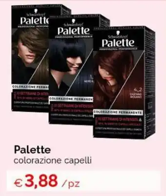Acqua & Sapone Palette colorazione capelli offerta
