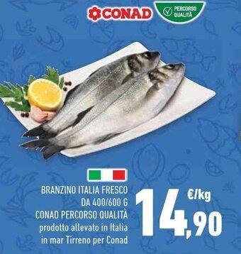 Conad BRANZINO ITALIA FRESCO DA 400/600 G CONAD PERCORSO QUALITÀ offerta