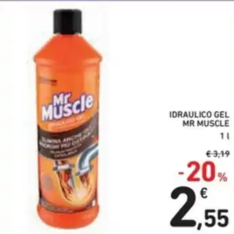 Spazio Conad Mr Muscle Idraulico Gel 1l offerta