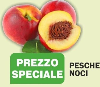 PESCHE NOCI