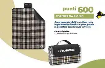 Ande COPERTA DA PIC NIC