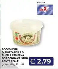 Il Gigante Pagus bisano valpolicella ripasso doc offerta