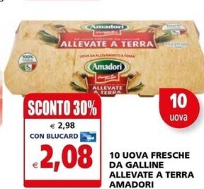 Il Gigante Amadori 10 uova fresche da galline allevate a terra offerta