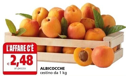 Il Gigante Albicocche offerta