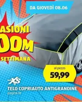 ALDI Telo copriauto antigrandine offerta