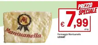 Iper La Grande Levant formaggio mantuanella offerta