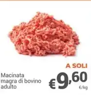Happy Casa Gazebo tessuto in poliestere 160 gr offerta