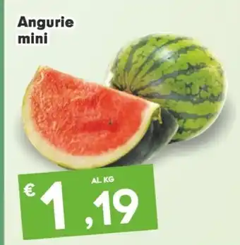 Angurie mini