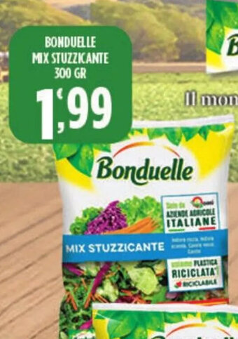 BONDUELLE MIX STUZZICANTE 300 GR