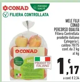 Bennet Bouquet rose germini offerta