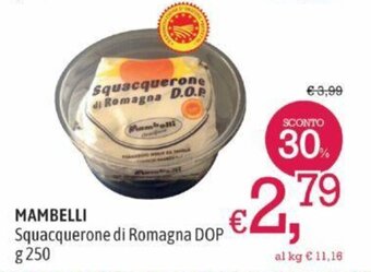 A&O MAMBELLI Squacquerone di Romagna DOP g 250 offerta