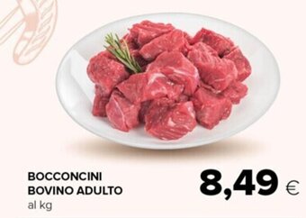 Oasi BOCCONCINI BOVINO ADULTO offerta