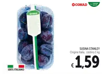 Spazio Conad Stanley Susina 1kg offerta