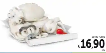 Spazio Conad Seppie Pulite offerta