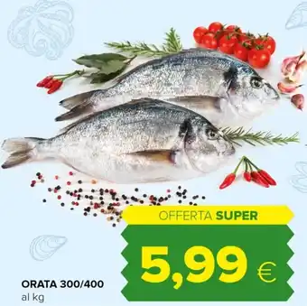 Oasi ORATA 300/400 offerta