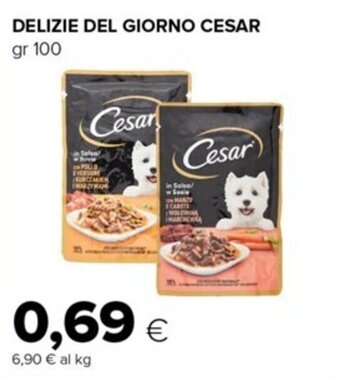 DELIZIE DEL GIORNO CESAR gr 100
