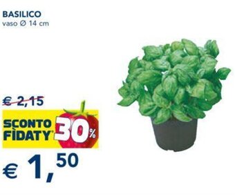 Esselunga BASILICO vaso Ø 14 cm offerta