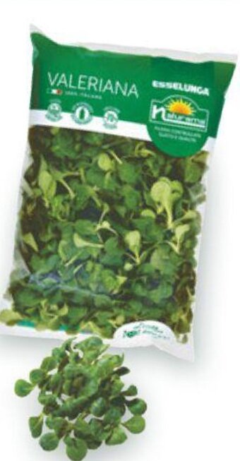 Esselunga VALERIANA NATURAMA busta da 200 g offerta