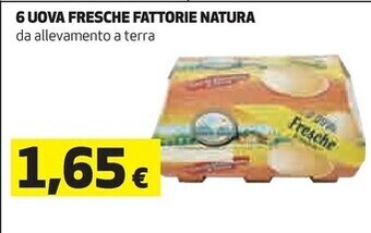 Fattorie natura 6 uova fresche