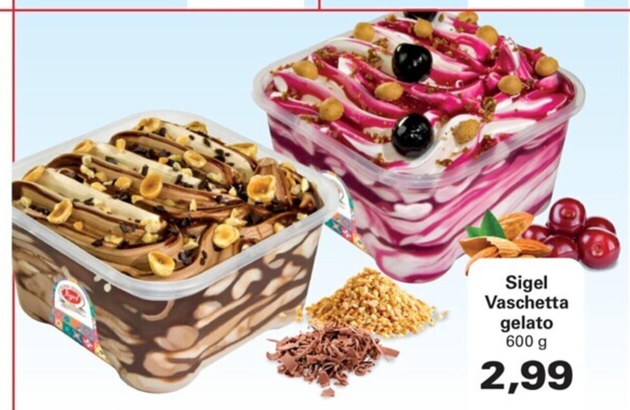 Alvama Sigel Vaschetta gelato 600 g offerta