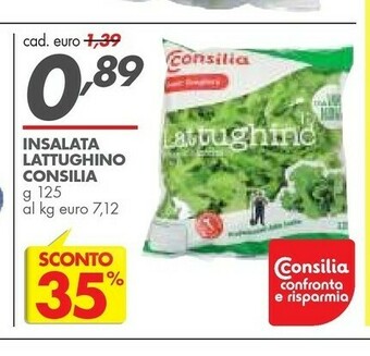 Italmark Consilia Insalata Lattughino offerta