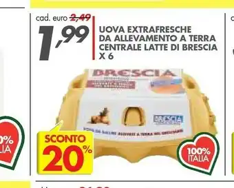 Uova Extrafresche Da Allevamento A Terra Centrale Latte Di Brescia