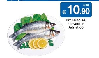 Branzino 4/6 allevato in adriatico
