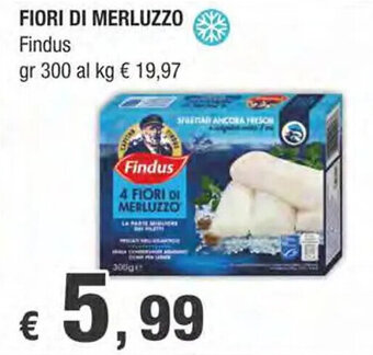 Crai FIORI DI MERLUZZO Findus gr 300 offerta