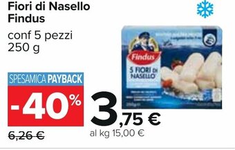 Carrefour Fiori di Nasello Findus conf 5 pezzi 250 g offerta