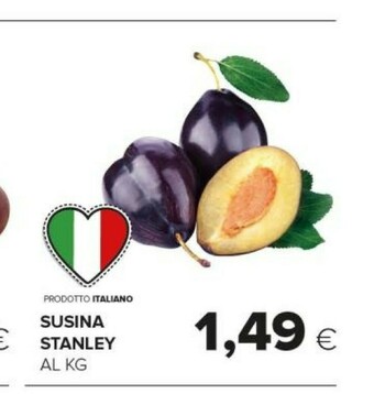Susina Stanley