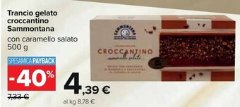 Carrefour Trancio gelato croccantino Sammontana con caramello salato 500 g offerta