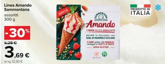 Carrefour Linea Amando Sammontana assortiti 300 g offerta
