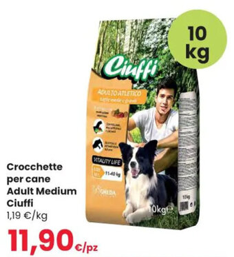 Interspar Crocchette per cane Adult Medium Ciuffi 10 kg offerta