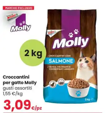 Interspar Croccantini per gatto Molly gusti assortiti 2 kg offerta