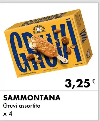 SAMMONTANA Gruvi assortito x 4