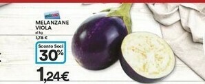 Coop Melanzane Viola offerta