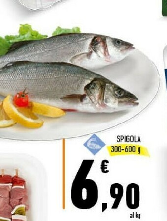 Conad Spigola offerta