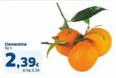 Conad City Fettine sottili di suino offerta