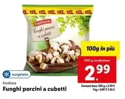 Bennet Kalanchoe offerta